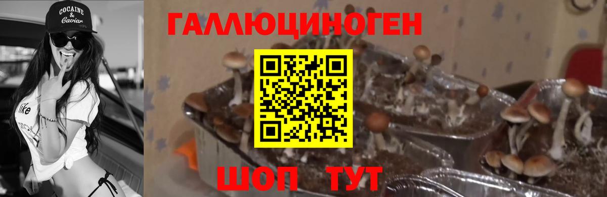 ГЕРОИН  Вход с VPN  Лсд 25  Наркошоп  ГАШ  Балабаново  Cocaine  Гашиш  Каннабис  Меф МЯУ МЯУ  Мефедрон  